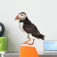 Live Atlantic Puffin Wall Decal
