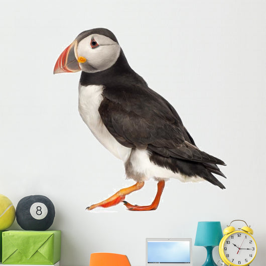 Live Atlantic Puffin Wall Decal