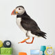 Live Atlantic Puffin Wall Decal
