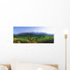 Mourne Mountains, Co Down, Ireland Wall Mural