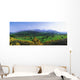 Mourne Mountains, Co Down, Ireland Wall Mural
