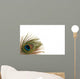 Peacock Border
