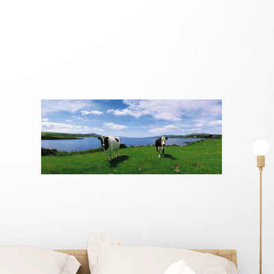 Durrus Sheep's Head Co Wall Mural shown on a wall