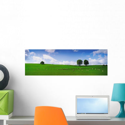 Co Wicklow Ireland Wall Mural shown on a wall