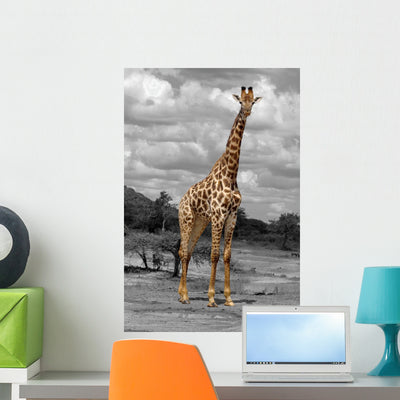 Giraffe Wall Decal Design 2 shown on a wall