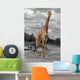 Giraffe Wall Mural