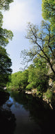 River Roe, Roe Valley, Limavady, Co Derry, Ireland Wall Mural