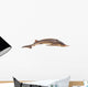 Sturgeon Fish Wall Decal