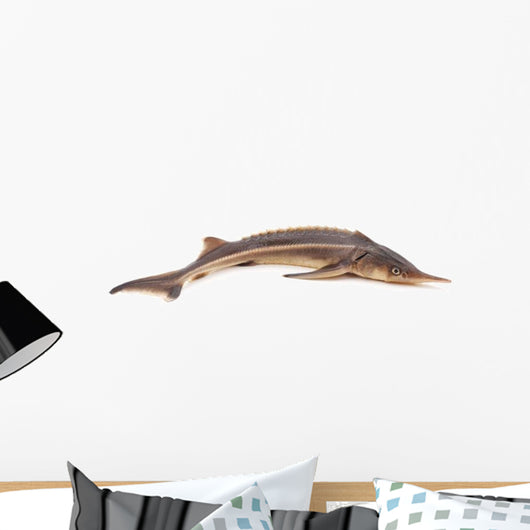 Sturgeon Fish Wall Decal