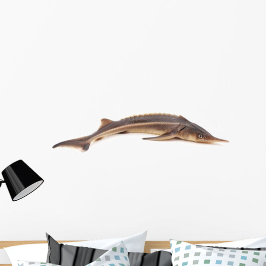 Sturgeon Fish Wall Decal