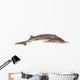 Sturgeon Fish Wall Decal