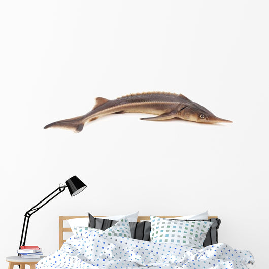 Sturgeon Fish Wall Decal