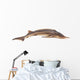 Sturgeon Fish Wall Decal
