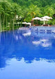 Pool Wall Decal