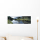 Owenveagh River, Glenveagh National Park, Co Donegal, Ireland Wall Mural