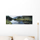 Owenveagh River, Glenveagh National Park, Co Donegal, Ireland Wall Mural