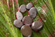 Stones