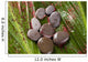 Stones