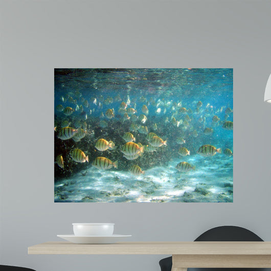 Bancpoisson Wall Mural