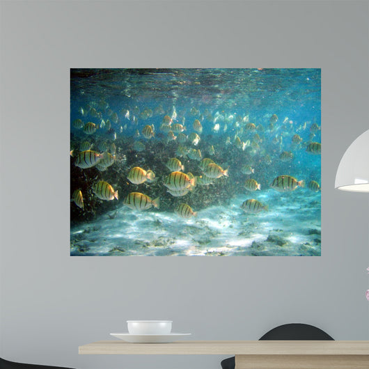 Bancpoisson Wall Mural