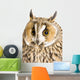 Owl White Wall Mural