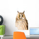 Owl White Wall Mural