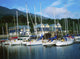 Carlingford Marina, Carlingford, County Louth, Ireland Wall Mural