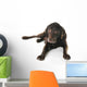 Labrador Wall Decal