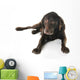 Labrador Wall Decal