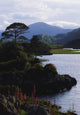 Upper Lake, Killarney, Co Kerry, Ireland Wall Mural