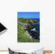 Saltee Islands, Co Wexford, Ireland Wall Mural