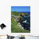 Saltee Islands, Co Wexford, Ireland Wall Mural