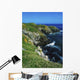 Saltee Islands, Co Wexford, Ireland Wall Mural