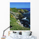 Saltee Islands, Co Wexford, Ireland Wall Mural