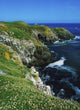 Saltee Islands, Co Wexford, Ireland Wall Mural