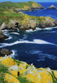 Saltee Islands, Co Wexford, Ireland Wall Mural