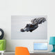 American alligator Wall Mural