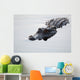 American alligator Wall Mural