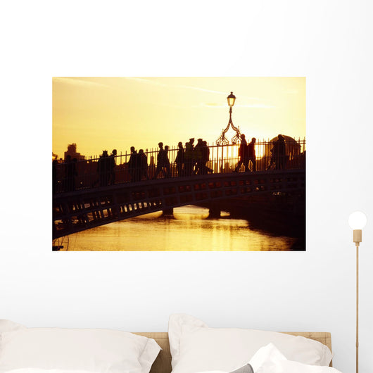 Ha'penny Bridge, Dublin, Co Dublin, Ireland Wall Mural