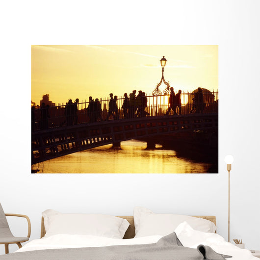 Ha'penny Bridge, Dublin, Co Dublin, Ireland Wall Mural