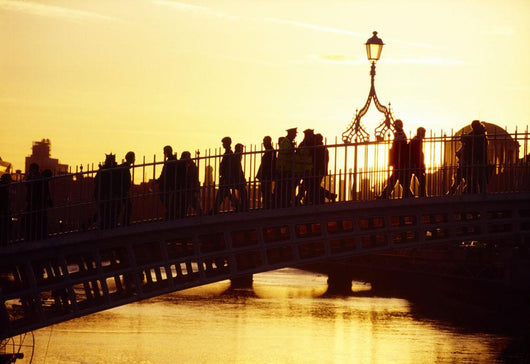 Ha'penny Bridge, Dublin, Co Dublin, Ireland Wall Mural