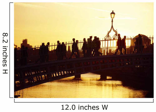 Ha'penny Bridge, Dublin, Co Dublin, Ireland Wall Mural