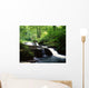 Clare Glens, Co Limerick, Ireland Wall Mural