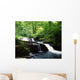 Clare Glens, Co Limerick, Ireland Wall Mural