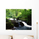 Clare Glens, Co Limerick, Ireland Wall Mural