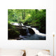 Clare Glens, Co Limerick, Ireland Wall Mural