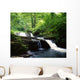 Clare Glens, Co Limerick, Ireland Wall Mural