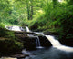 Clare Glens, Co Limerick, Ireland Wall Mural