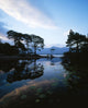 Lough Leane, Lakes Of Killarney, Killarney, Co Kerry, Ireland Wall Mural