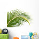 Palm Coconut White Wall Mural